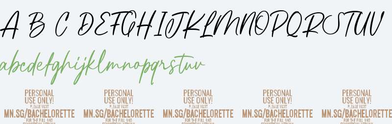 Bachelorette PERSONAL USE ONLY