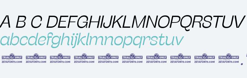 Stinger Fit Trial Light Italic