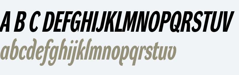 Dynamo Italic H X C