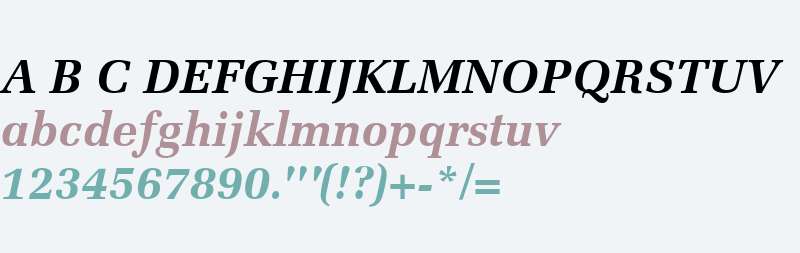 Protocol SSi Bold Italic