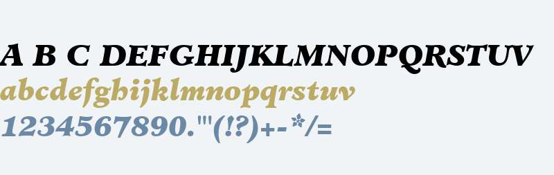 Minister W01 Black Italic