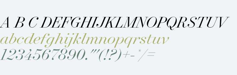 Surveyor Fine Light Italic