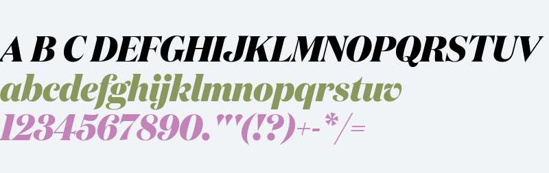 DomaineDispNarExtrabold-Italic