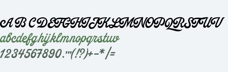 AS Palmer W05 Script Regular