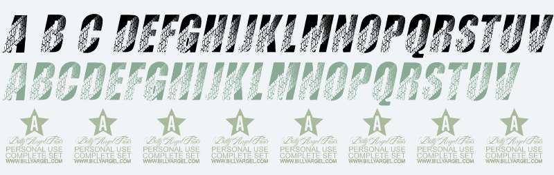 TIRES ITALIC PERSONAL USE Bold Italic