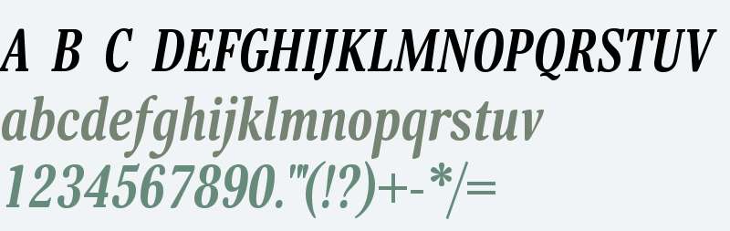 Margon 430 Bold Italic W08 Rg