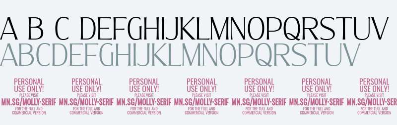 Molly Serif C PERSONAL Thin