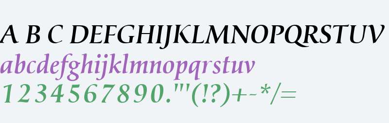 ClassicaMedium W00 Italic