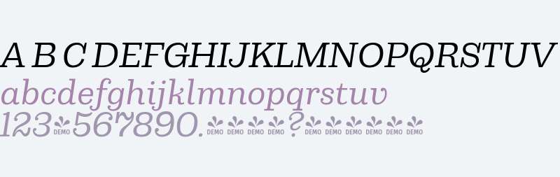 FSP DEMO - Capital Serif Italic