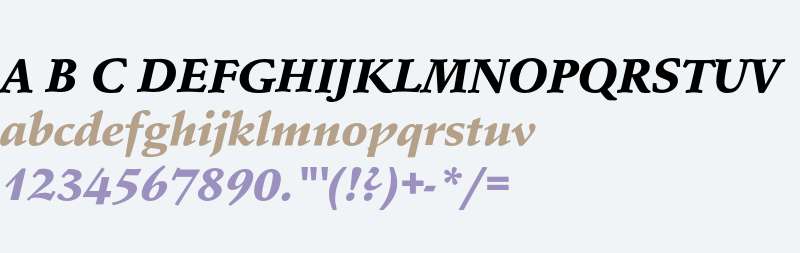 SchneidlerEF-BlackItalic