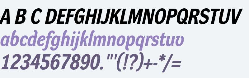 Dynamo Italic H M