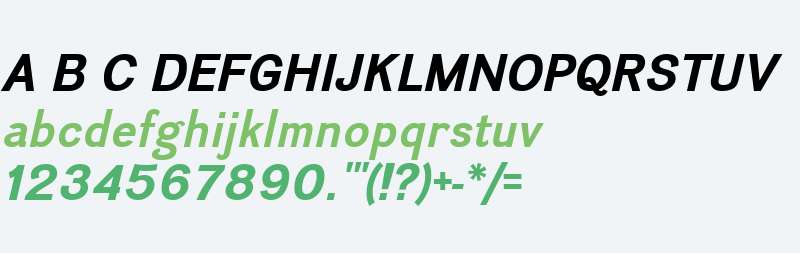 Divulge W00 Bold Italic