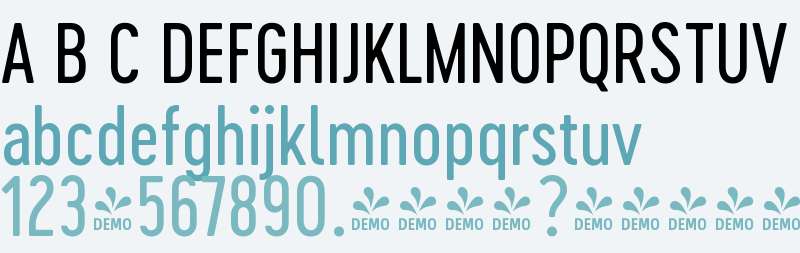 FSP DEMO - Cervo Neue Neue