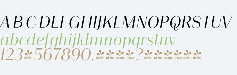 FSP DEMO - Alonzo Light Italic