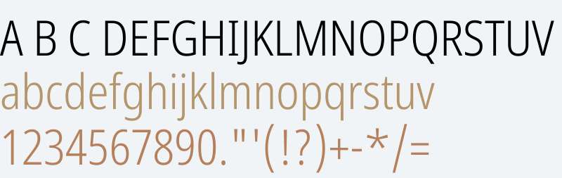 Noto Sans Devanagari Condensed Light