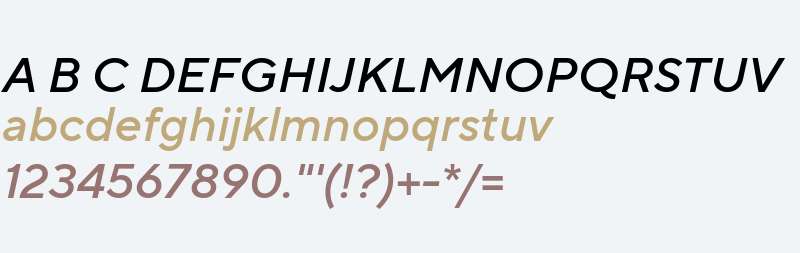 TTNormsPro-MediumItalic