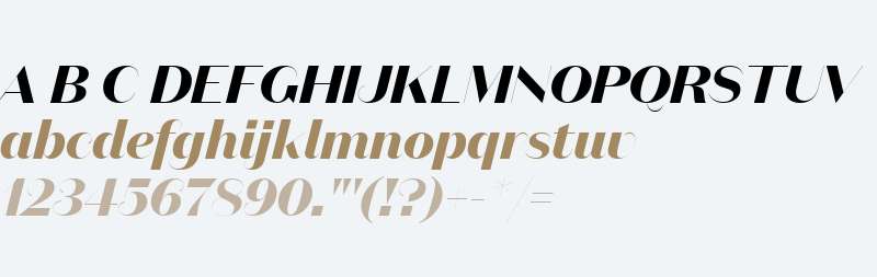 Domaine Sans Fine Bold Italic
