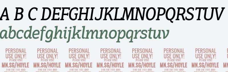 Hoyle PERSONAL USE ONLY Regular Italic