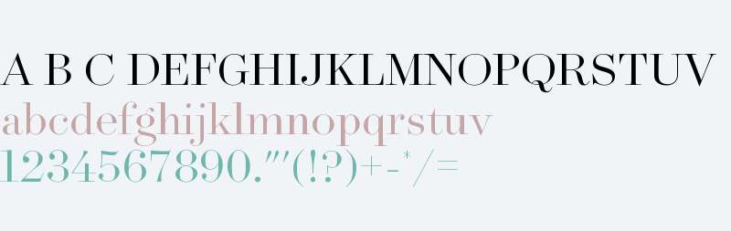 Surveyor Fine Light Regular