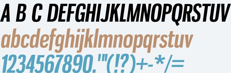 Gnuolane W00 Bold Italic