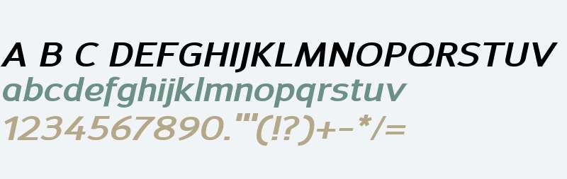 Savile W00 Bold Italic