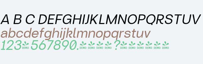 FSP DEMO - Turnkey Soft Italic