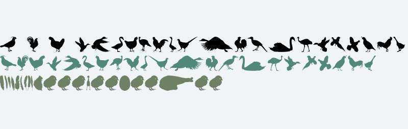 Fowl Play