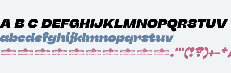 Stinger Fit Trial Heavy Italic