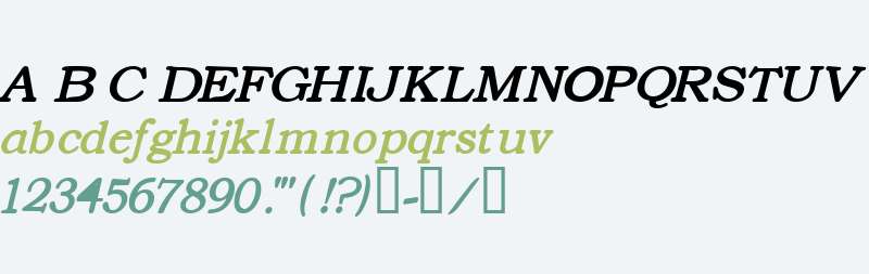 Text Serif Italic HPLHS