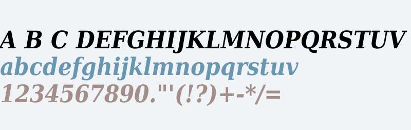 DejaVu Serif Condensed Bold Italic V2