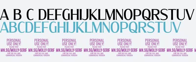 Molly Serif C PERSONAL Medium