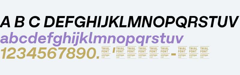 Micrograph Trial Smbold Italic