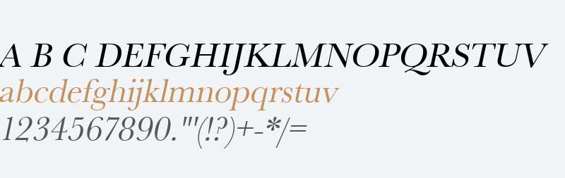 URWBaskerT Oblique
