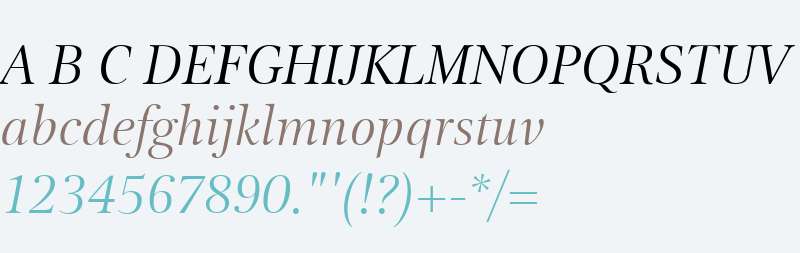 Clarins Italic Italic