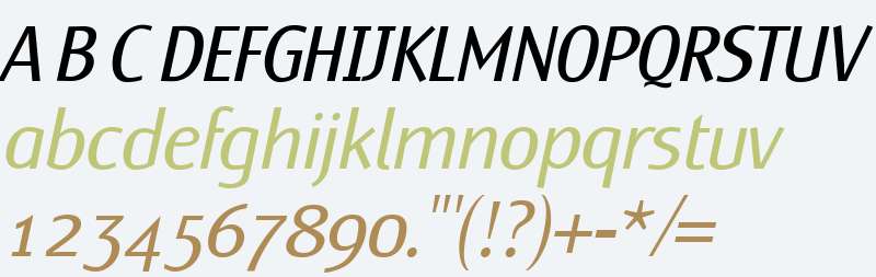 Yang W01 Light Italic