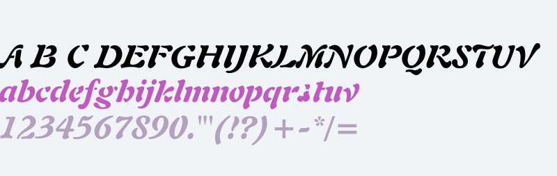 Freeform 721 Black Italic