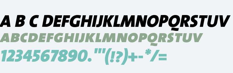 TheSans Black Caps Italic