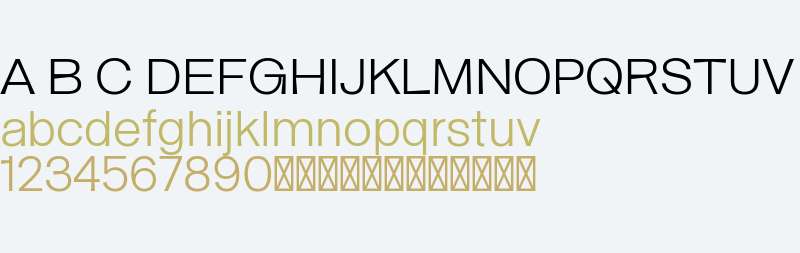 Bastardo Grotesk Light