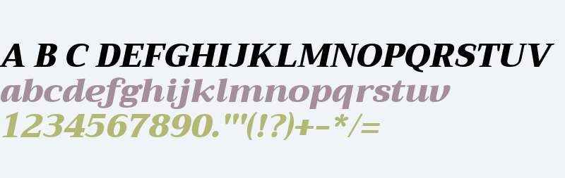 Trirong Black Italic