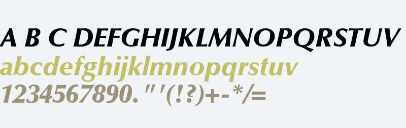 Optima LT Black Italic