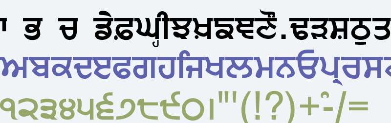 Punjabi Sans