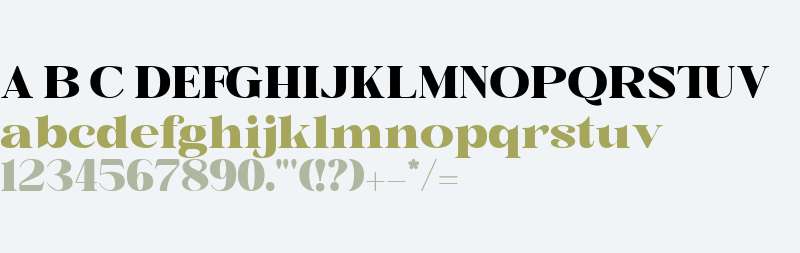 British Classical Demo Black