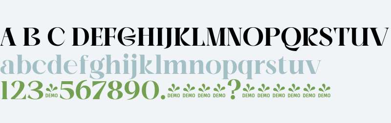 FSP DEMO - BeOkay DisplayBold
