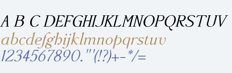 AccanthisADFStdNo3-Italic