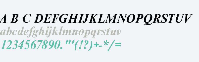 NimbusRomD Bold Italic V1