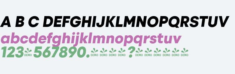 FSP DEMO - Izmir-HeavyItalic