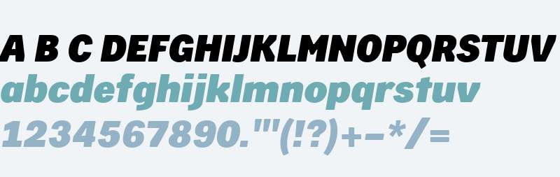 Skilt Gothic W02 Black Italic