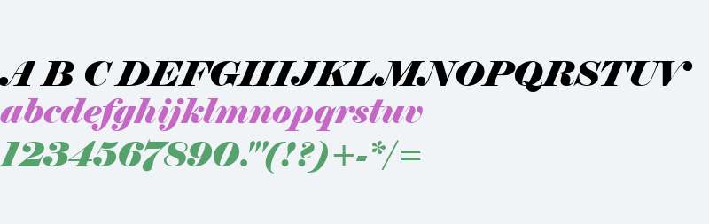 Elephant Italic V2