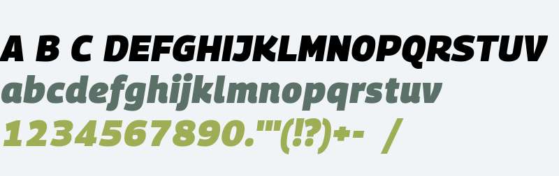 PanoramaW Black Bold Italic