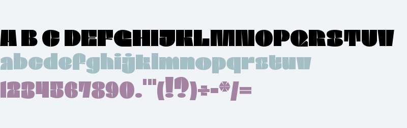 BC Baseliner Extended High